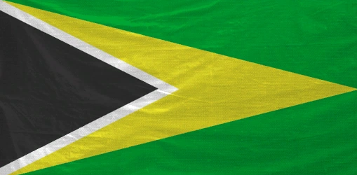 Republic of Altis and Stratis security forces on patrol